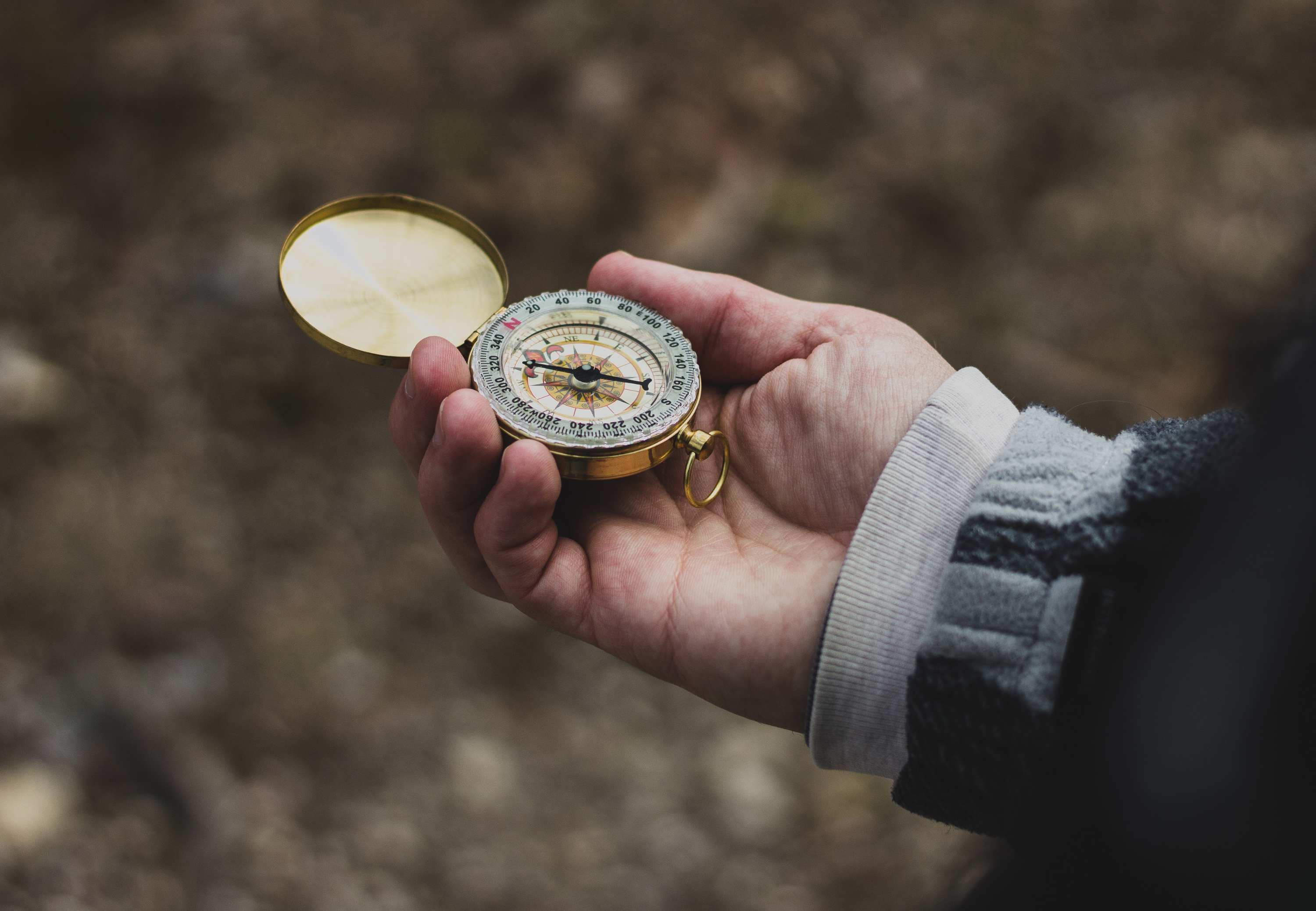 Your Job Search - guided.